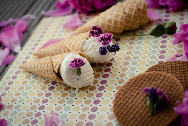 Nemox Eismaschine Gelato NXT1