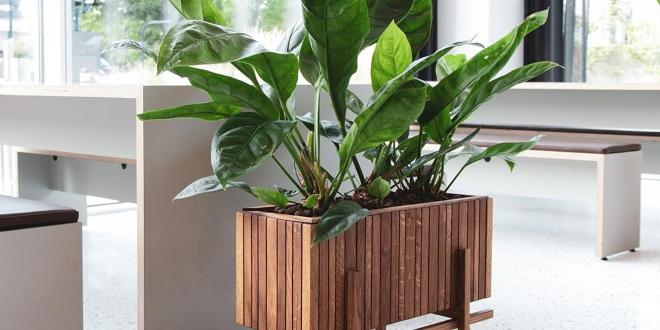 Moderne Design-Pflanzkübel für innen