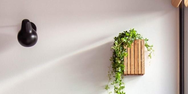 Vertical Garden