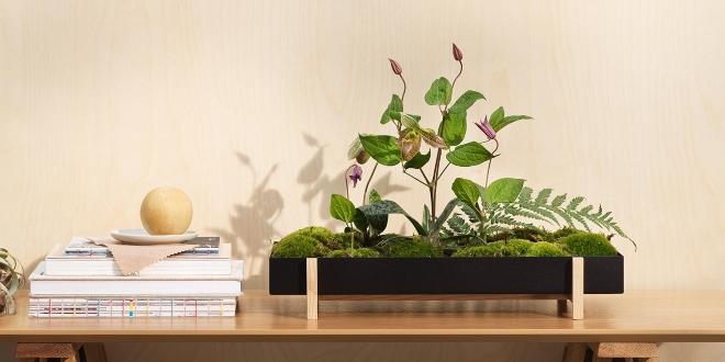 Wohntrend Wabi Sabi
