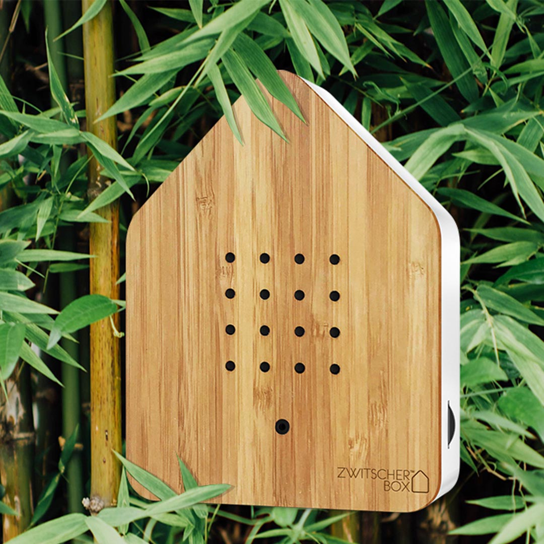 relaxound zwitscherbox bambus holz 67860
