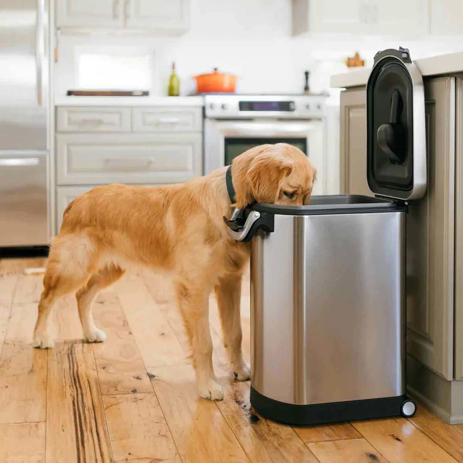 simplehuman tierfutterbehaelter gross hund 98334