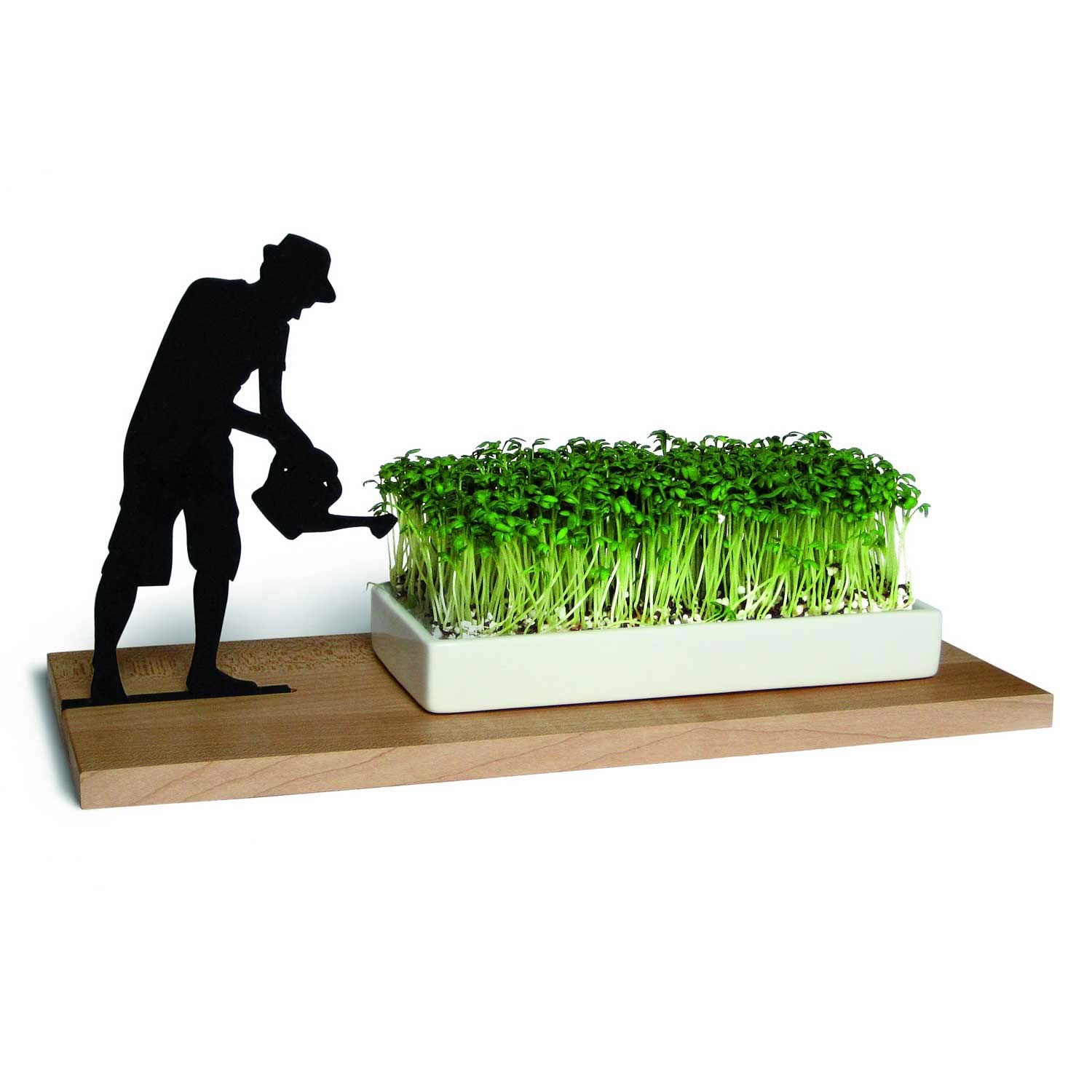 40053 G 37862