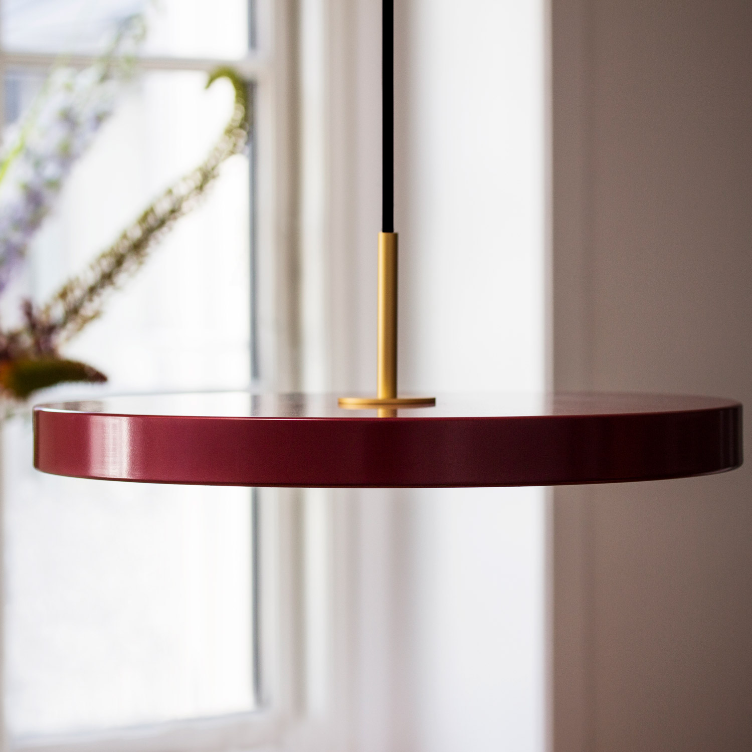 vita Asteria ruby 2