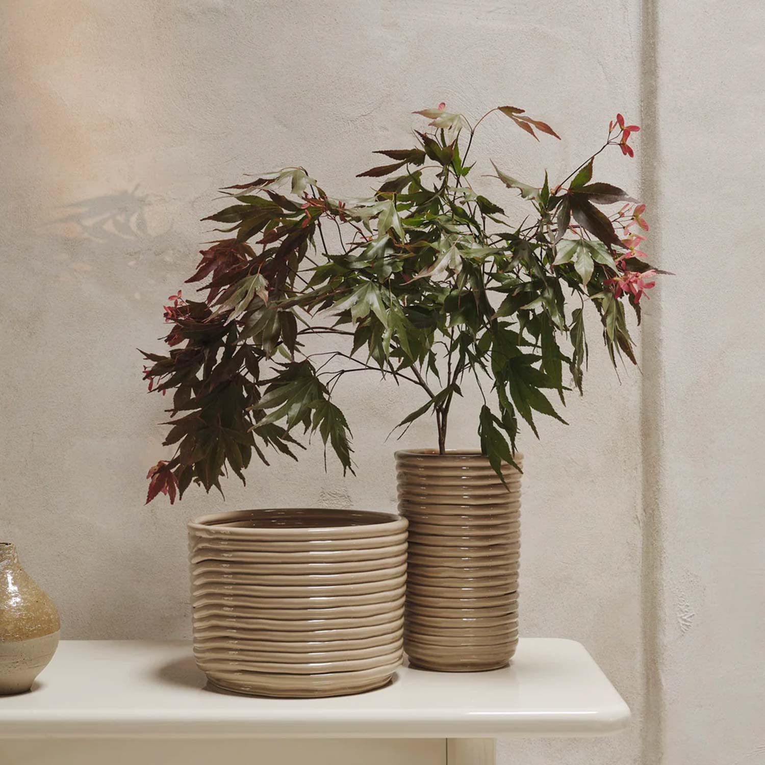 ferm LIVING Corduroy Pot bertopf Arrangement 104359