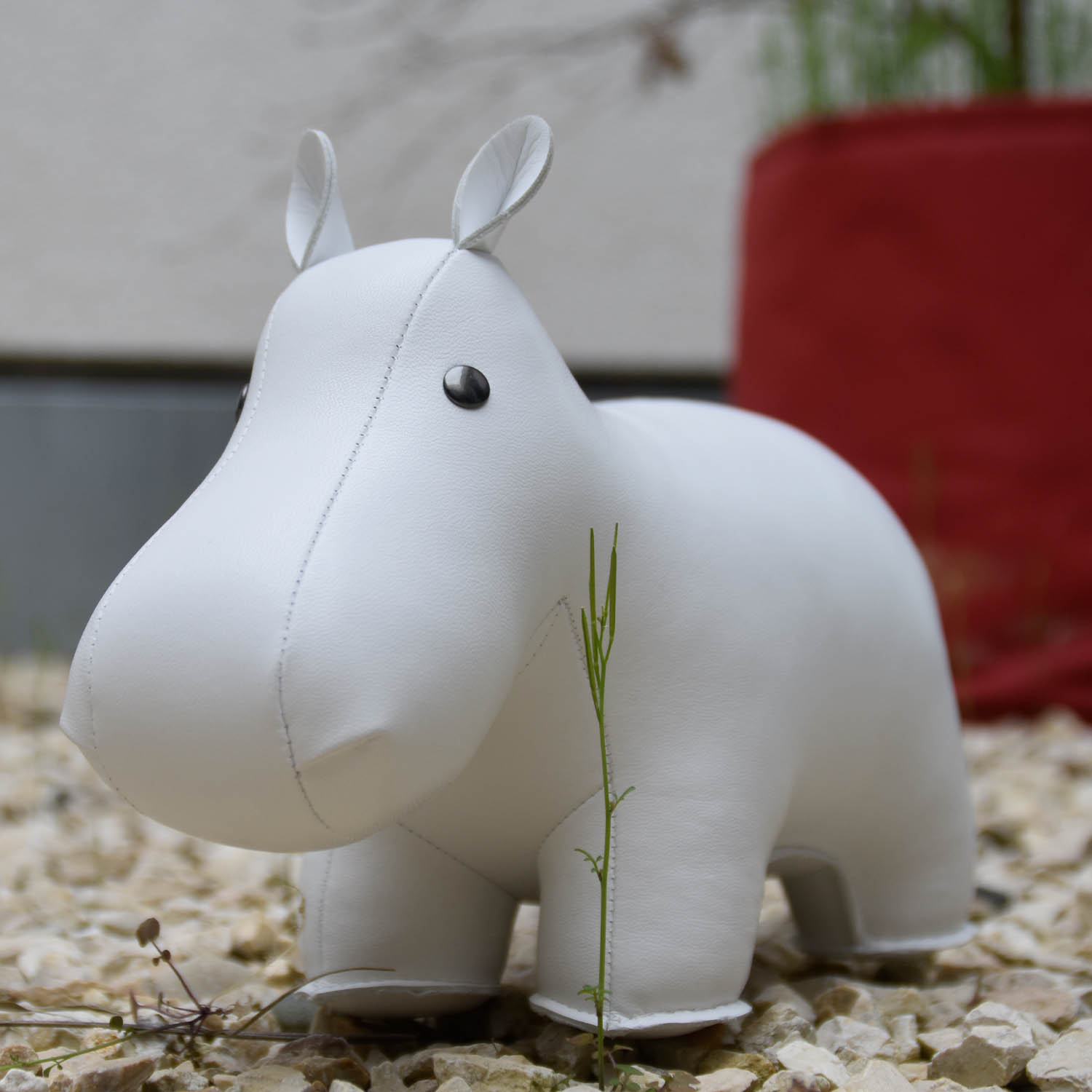 Hippo Buchsttze Zny Ambiente