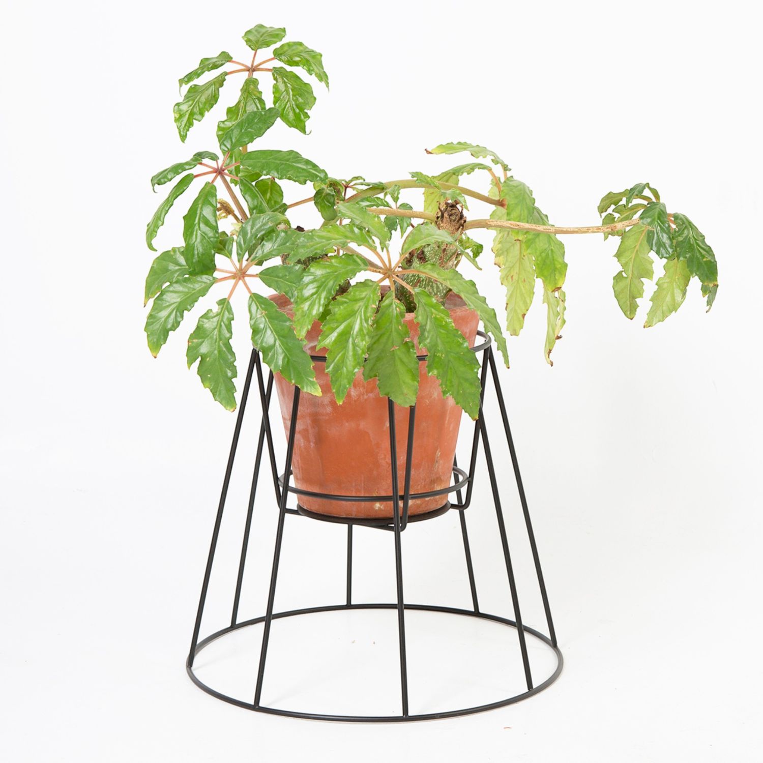 OK Design - Cibele Plant Stand Blumenständer small schwarz
