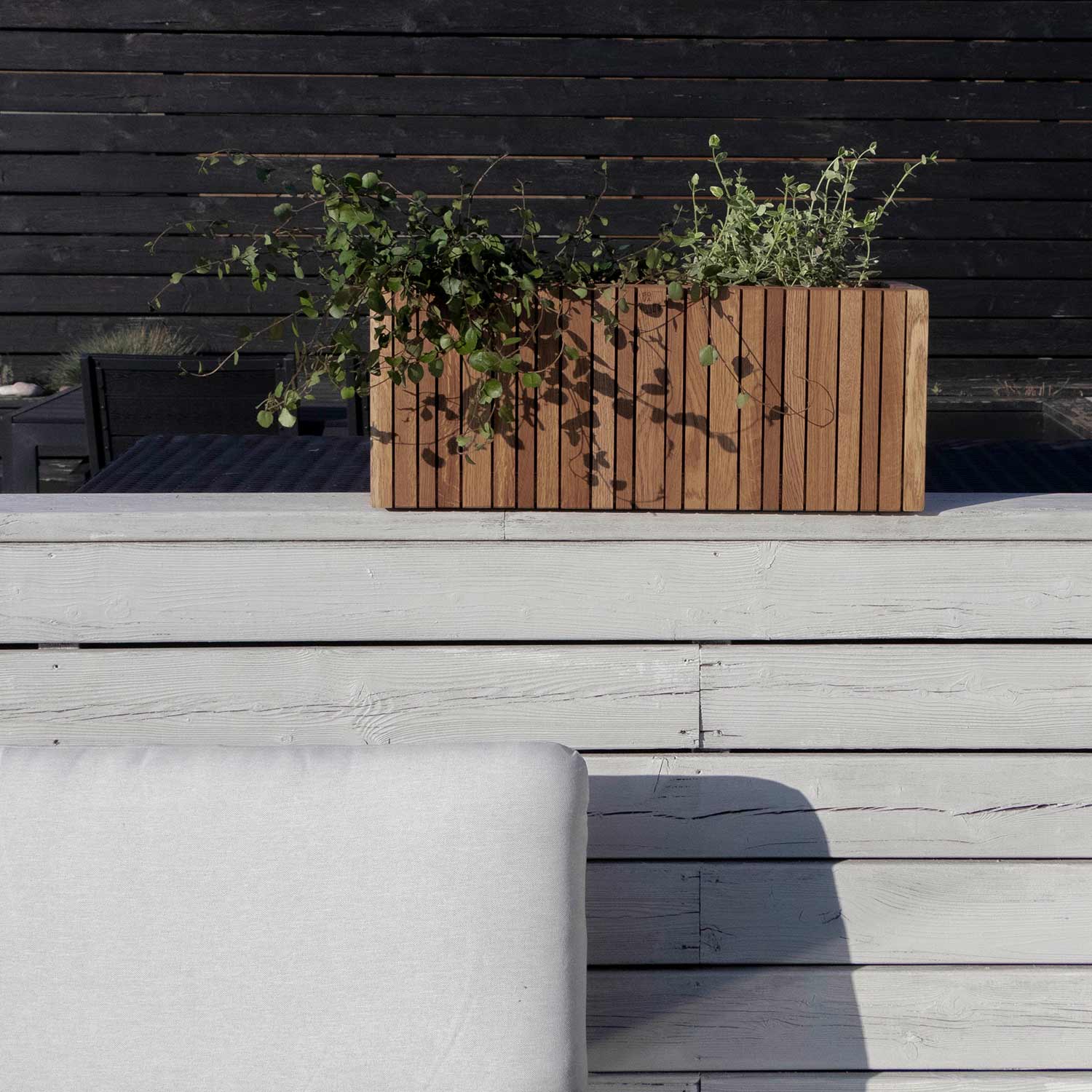 squarely grow wide dark oak aussen 77257