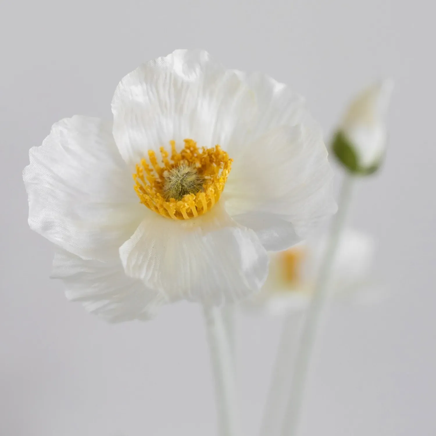 BLOOM OBJECTS - Mohn Kunstblume hellblau