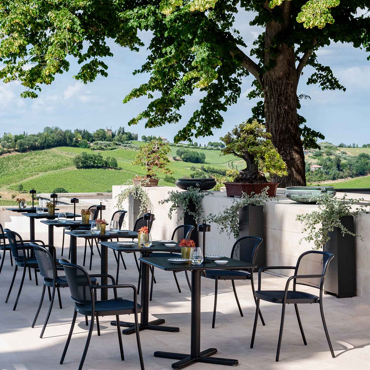 EMU - Armlehnstuhl Café magnolienrosa 