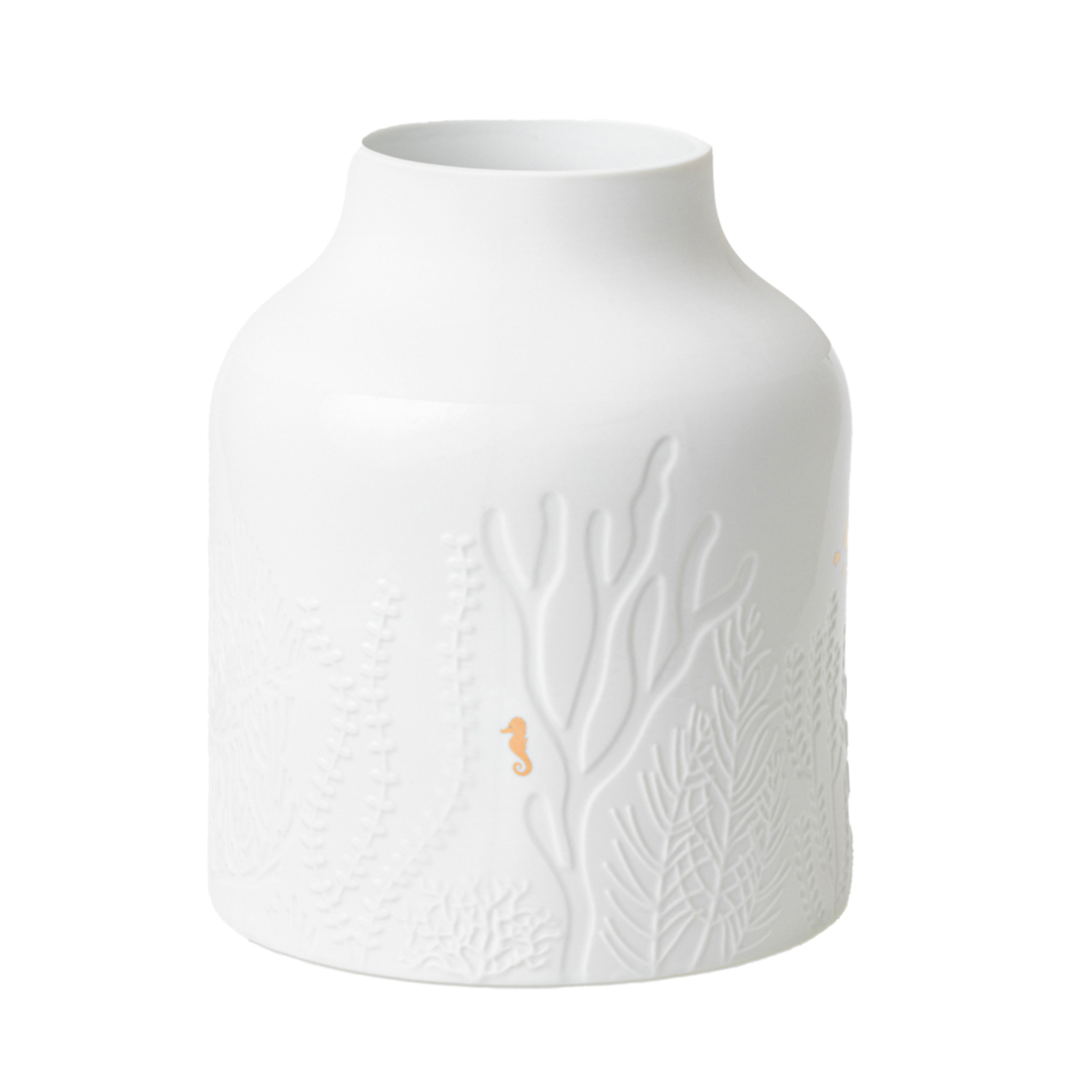 Raeder Design Unterwasserwelt Vase 17377 100796