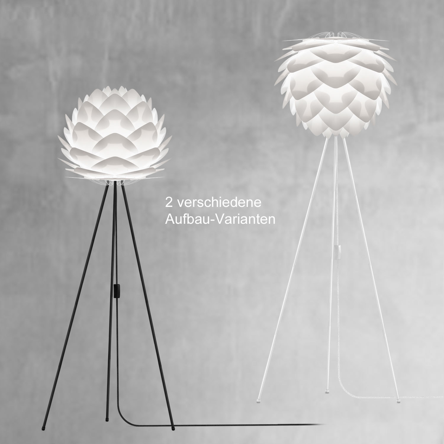 vita silvia mit Tripod 2 18415