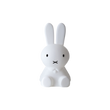 Mr Maria Miffy