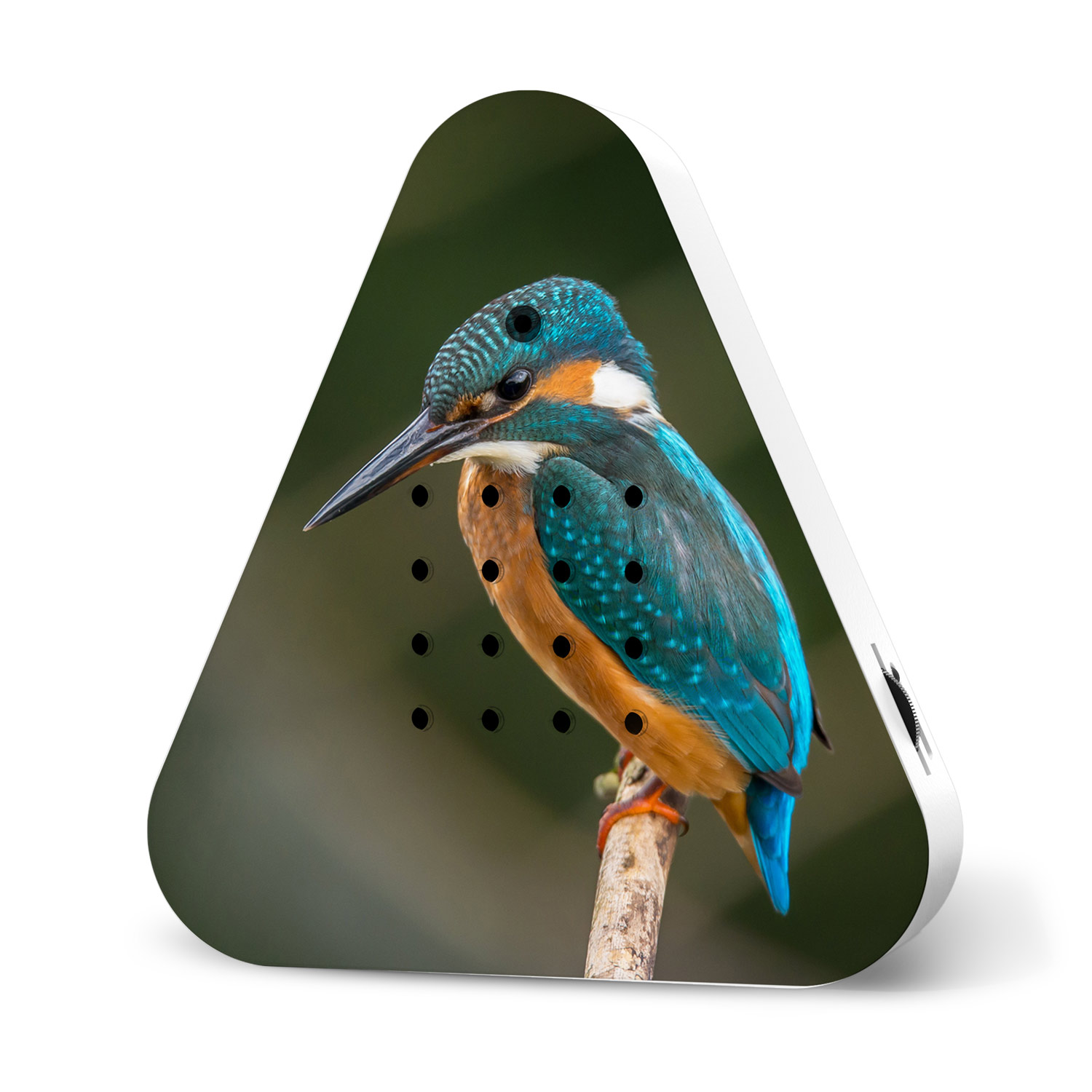 Relaxound - Lakesidebox Limited Edition Spring 25 Kingfisher