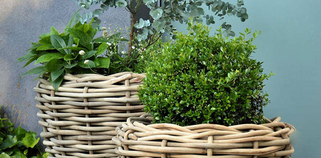 Outdoor Design Accessoires Jan Kurtz Palau Pflanzkorb