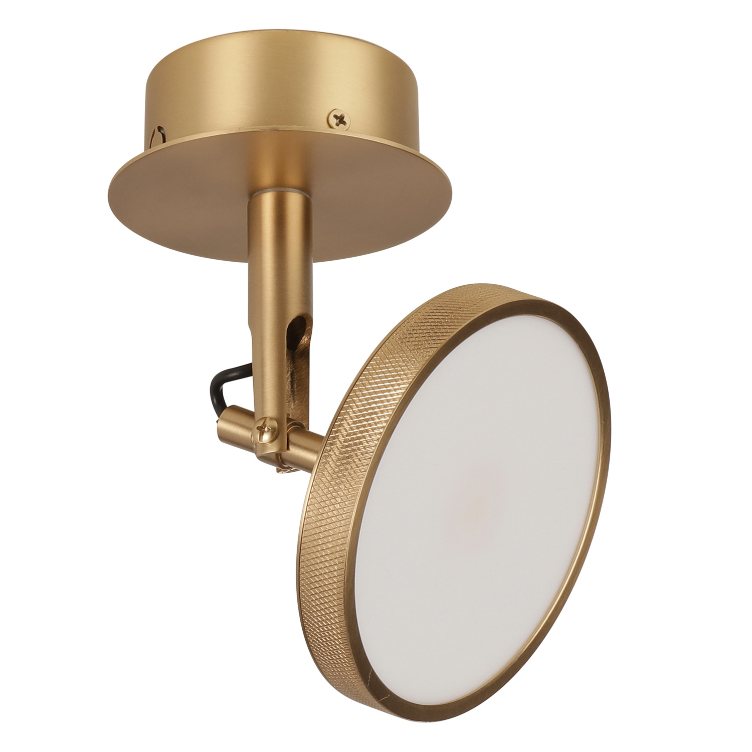 UMAGE asteria spot brass 2496 100943