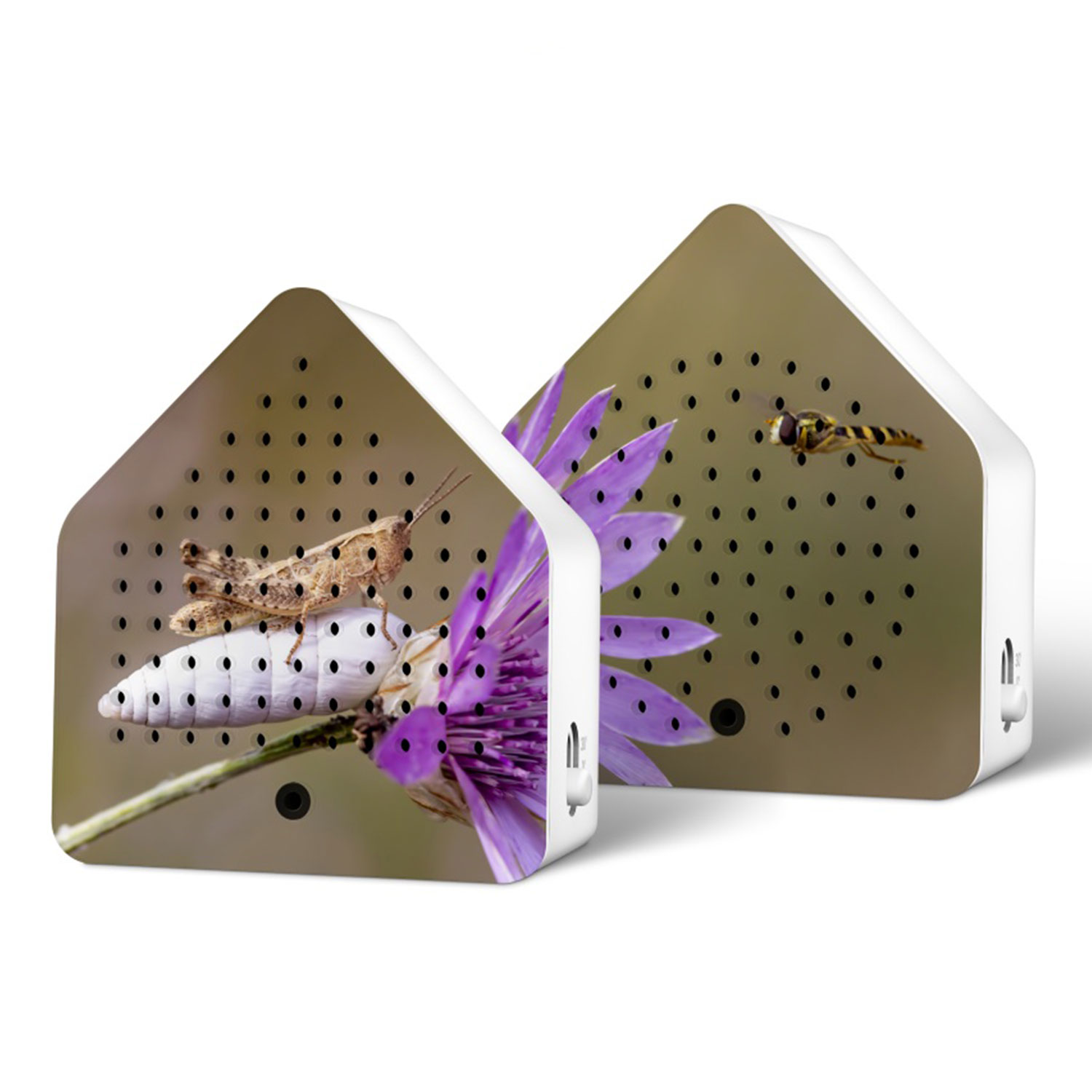 Relaxound Limited Edition Fall 2024 Zirpybox Grasshopper Bee 103675