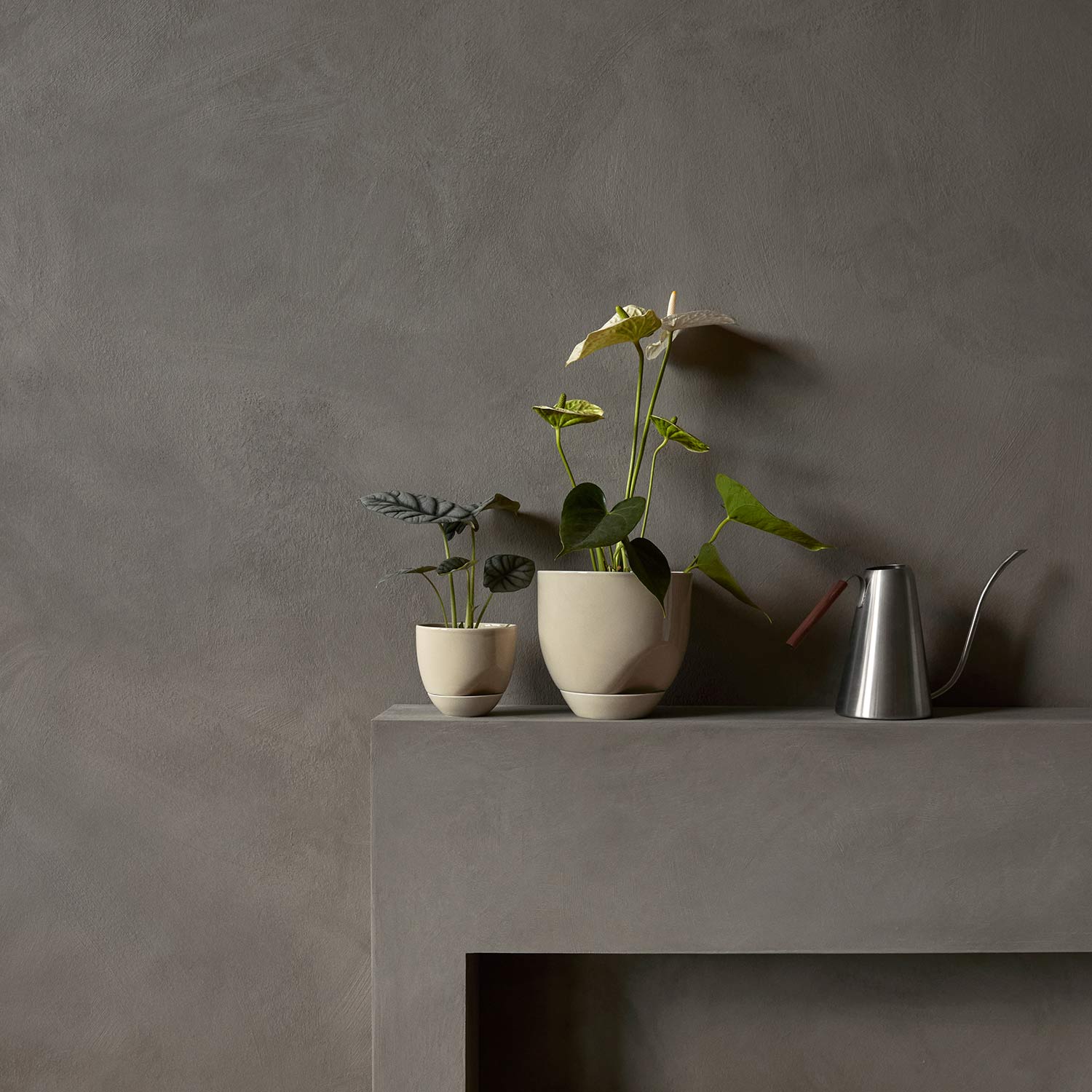 menu hydrous blumentopf aschgrau gross pflanze klein 92973