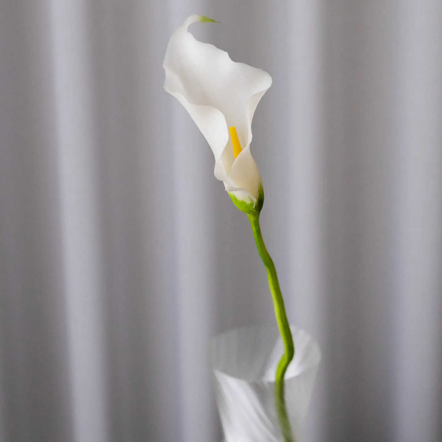 BLOOM OBJECTS - Calla-Lilie Kunstblume bordeaux