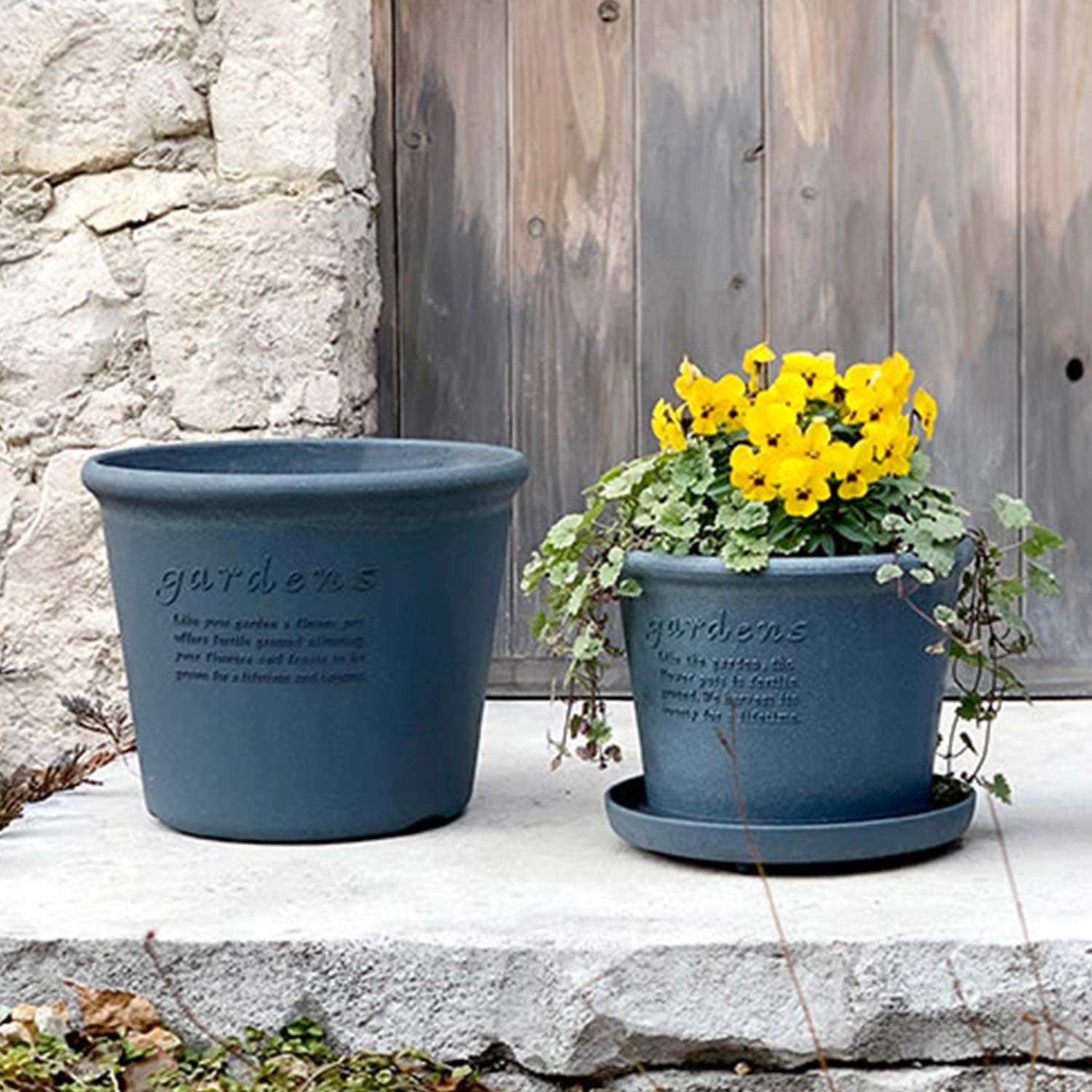 Hachiman - Eco Pot Shallow Type #8 senf