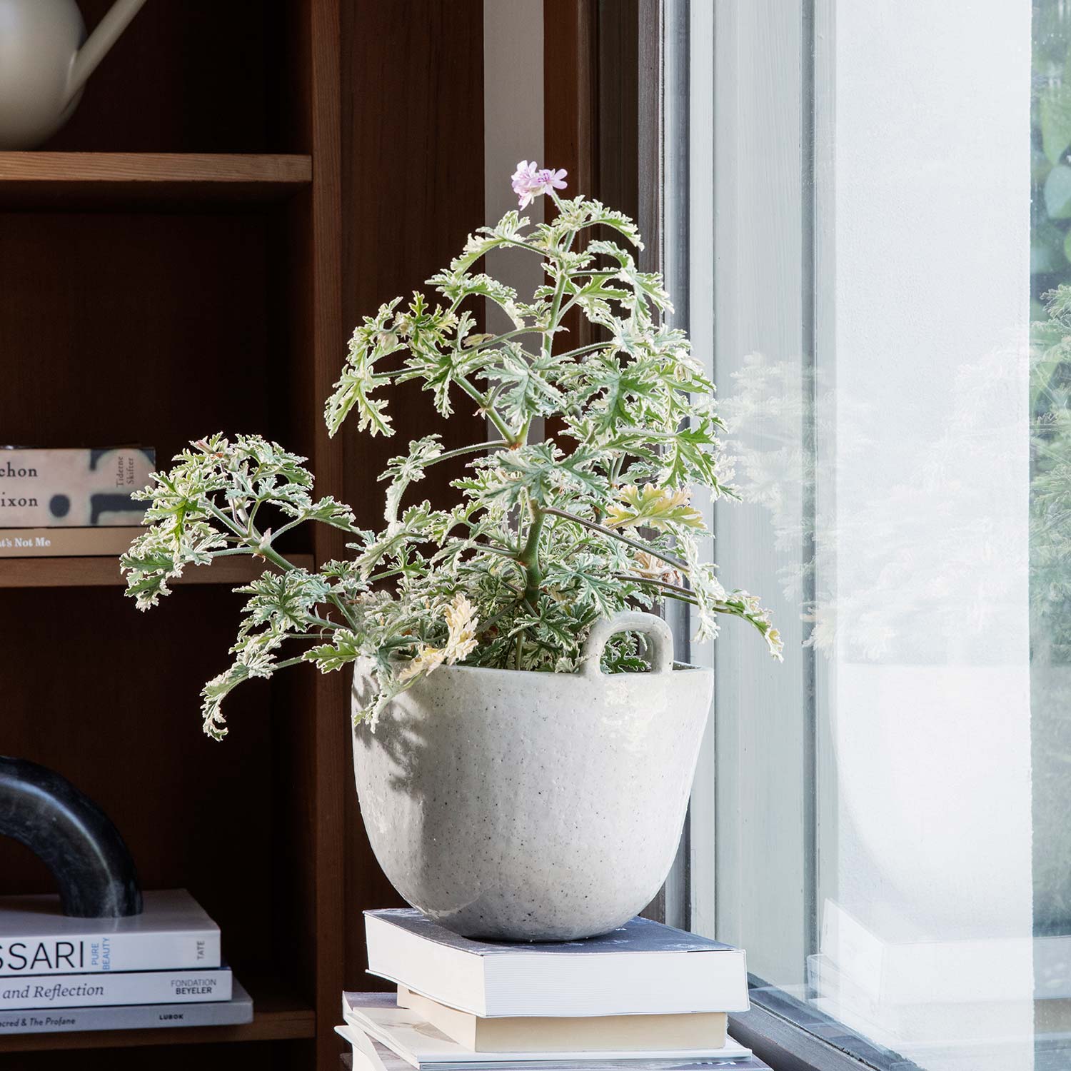 ferm living speckle pot pflanze