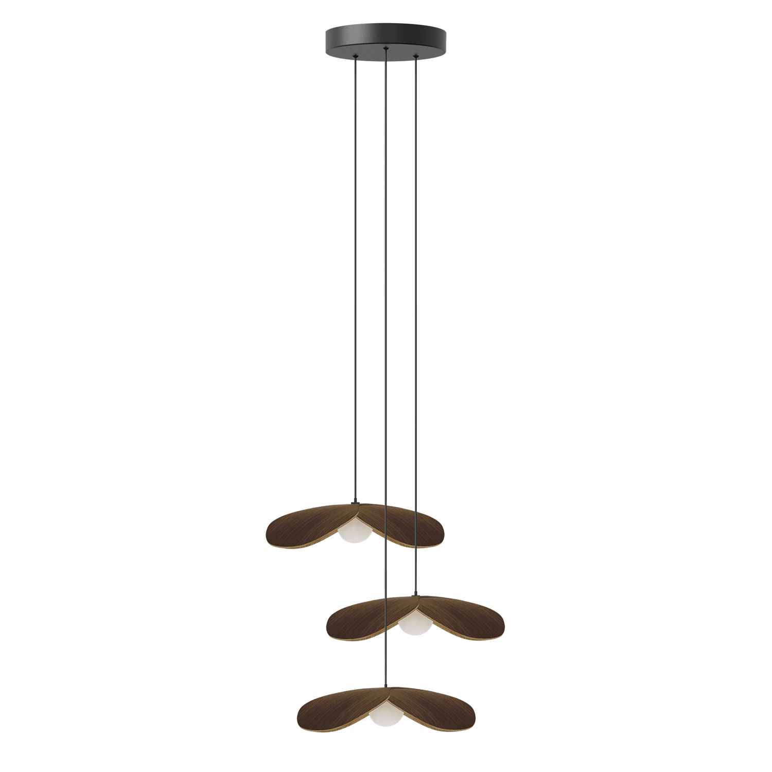 UMAGE - Forget Me Not 5er Cluster eiche mini