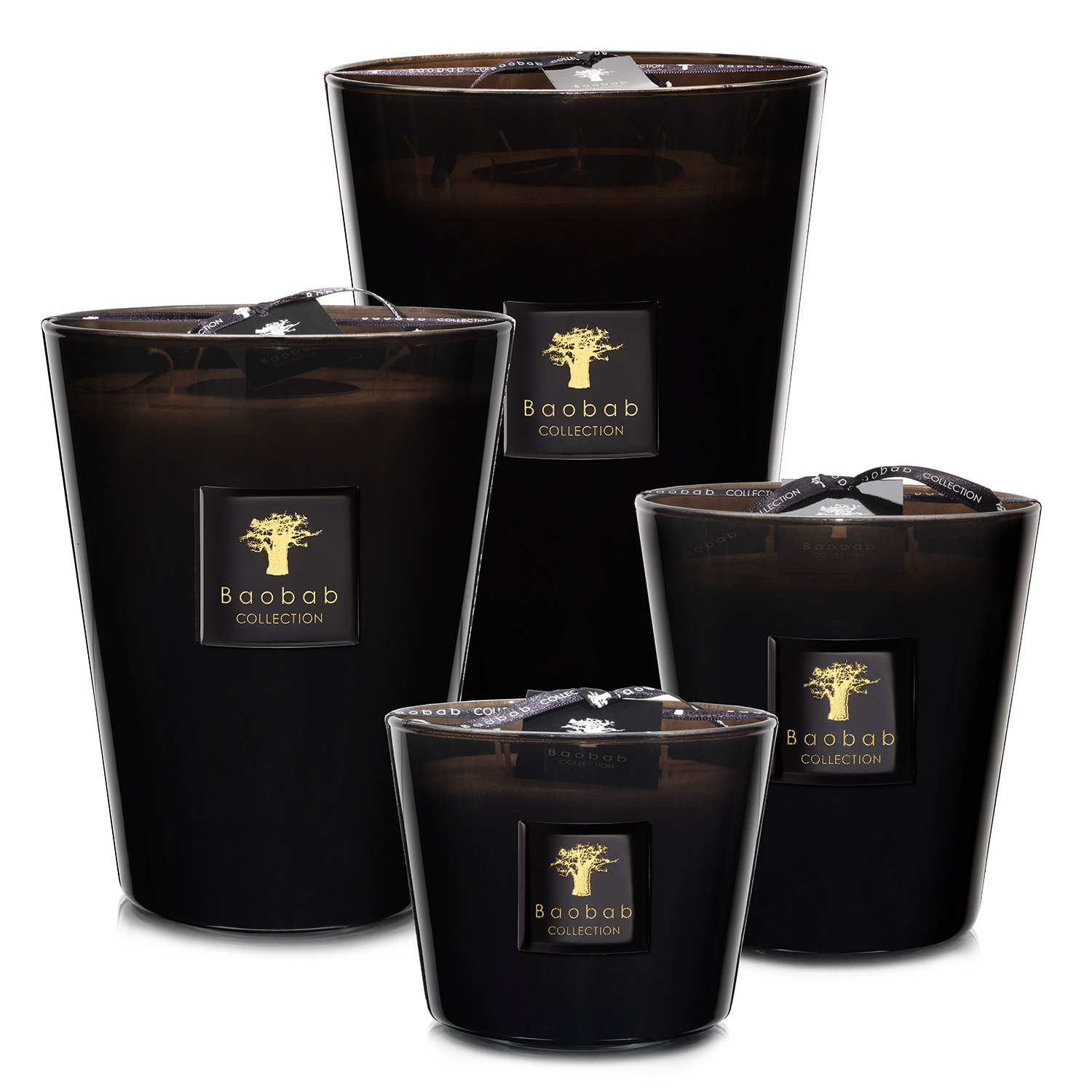 Baobab Encre de Chine Max 97691