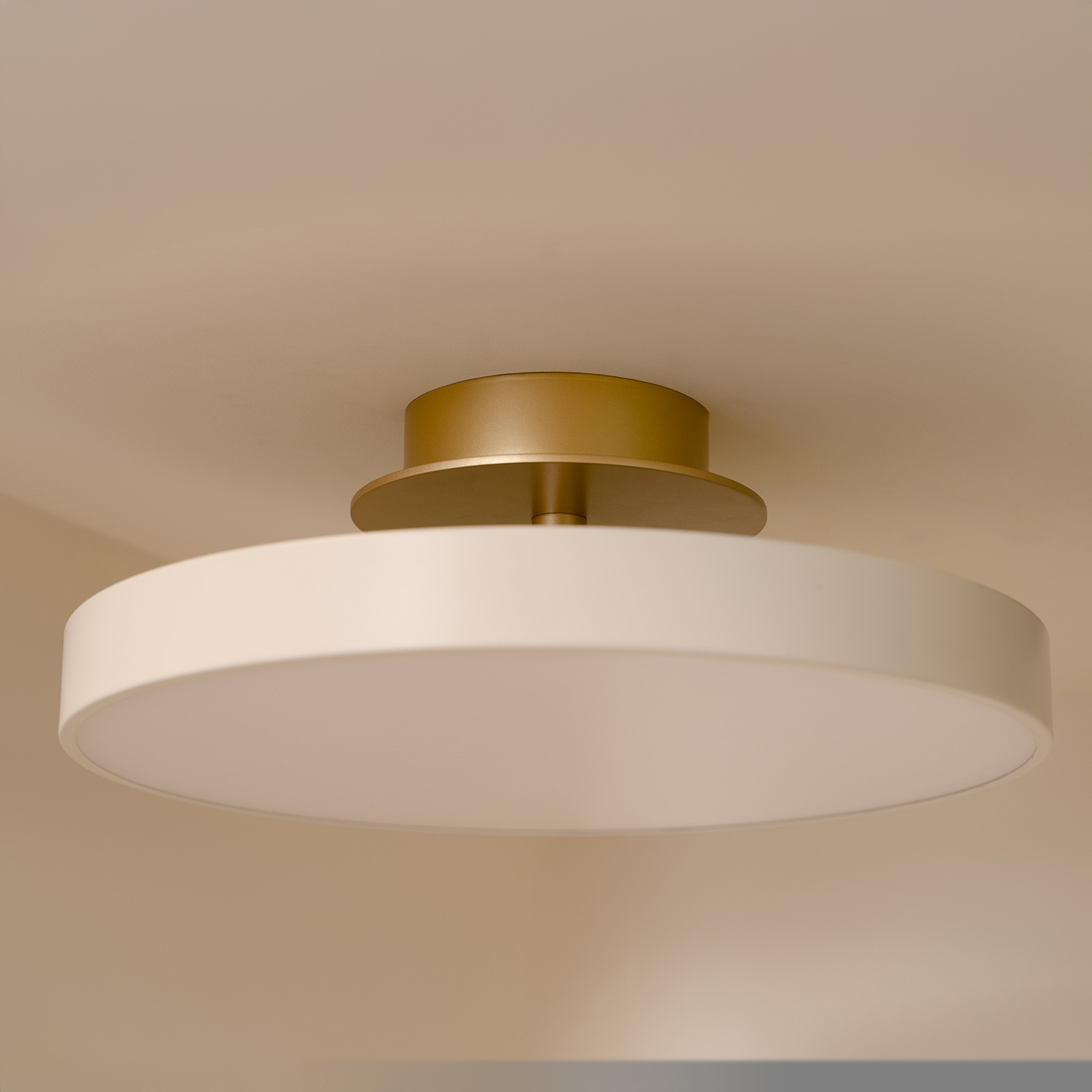 UMAGE - Asteria Up Plus Deckenleuchte mini anthrazit