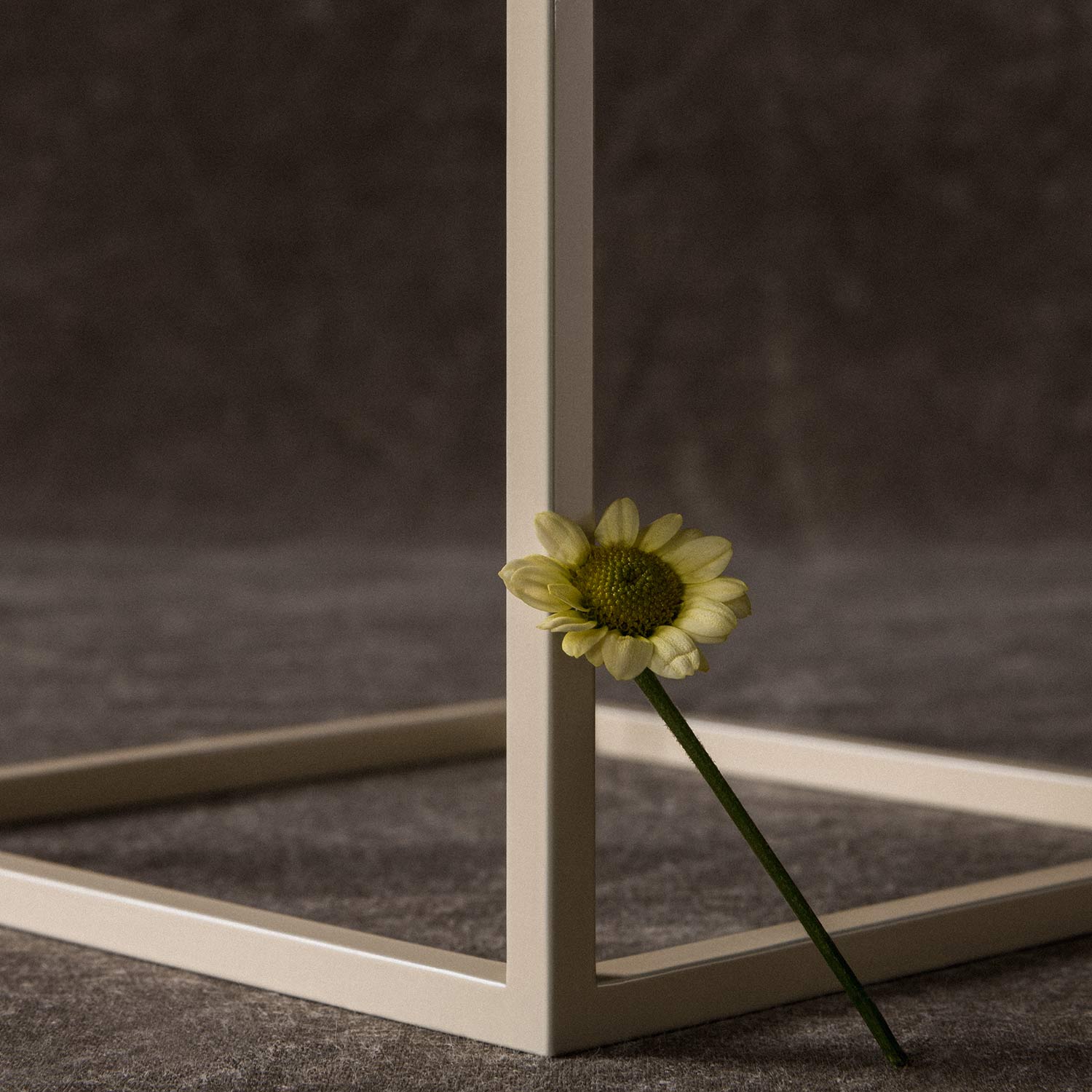Audo Kubus 4 elfenbein 95445