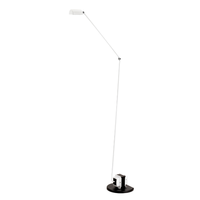 lumina daphine terra wei 56608