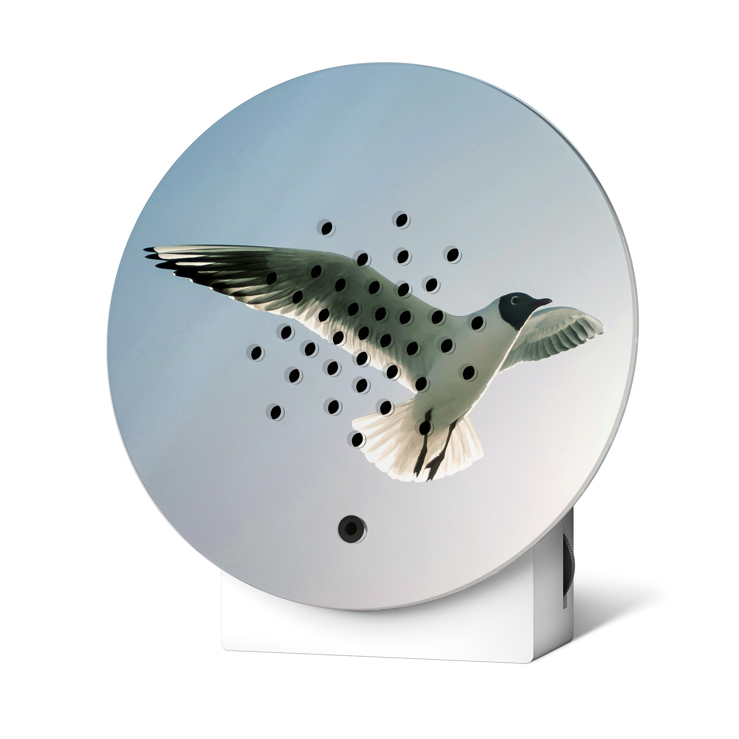 Relaxound - Oceanbox Lim. Edition Spring25 Black-headed Gull