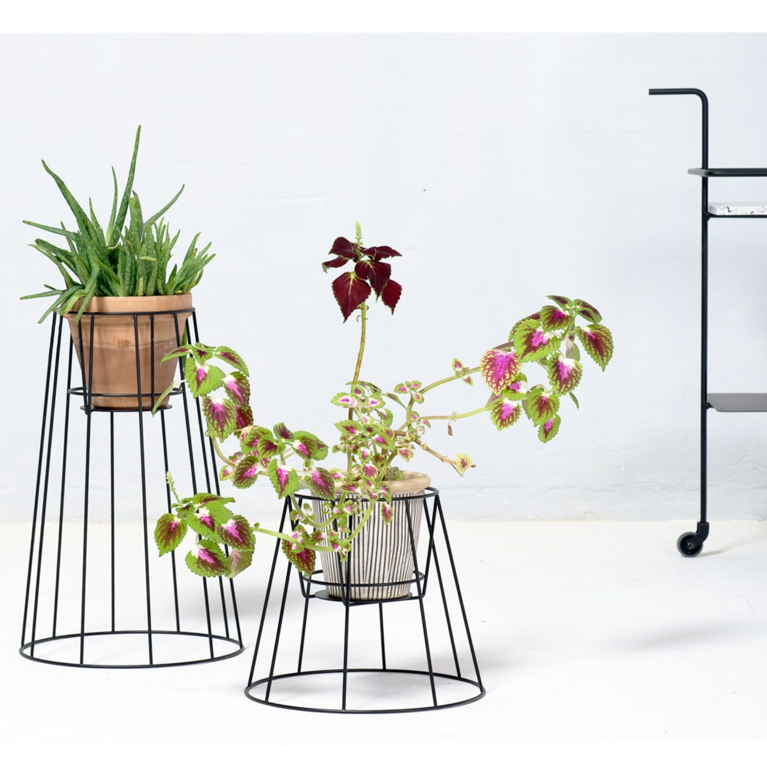 OK Design - Cibele Plant Stand Blumenständer small schwarz