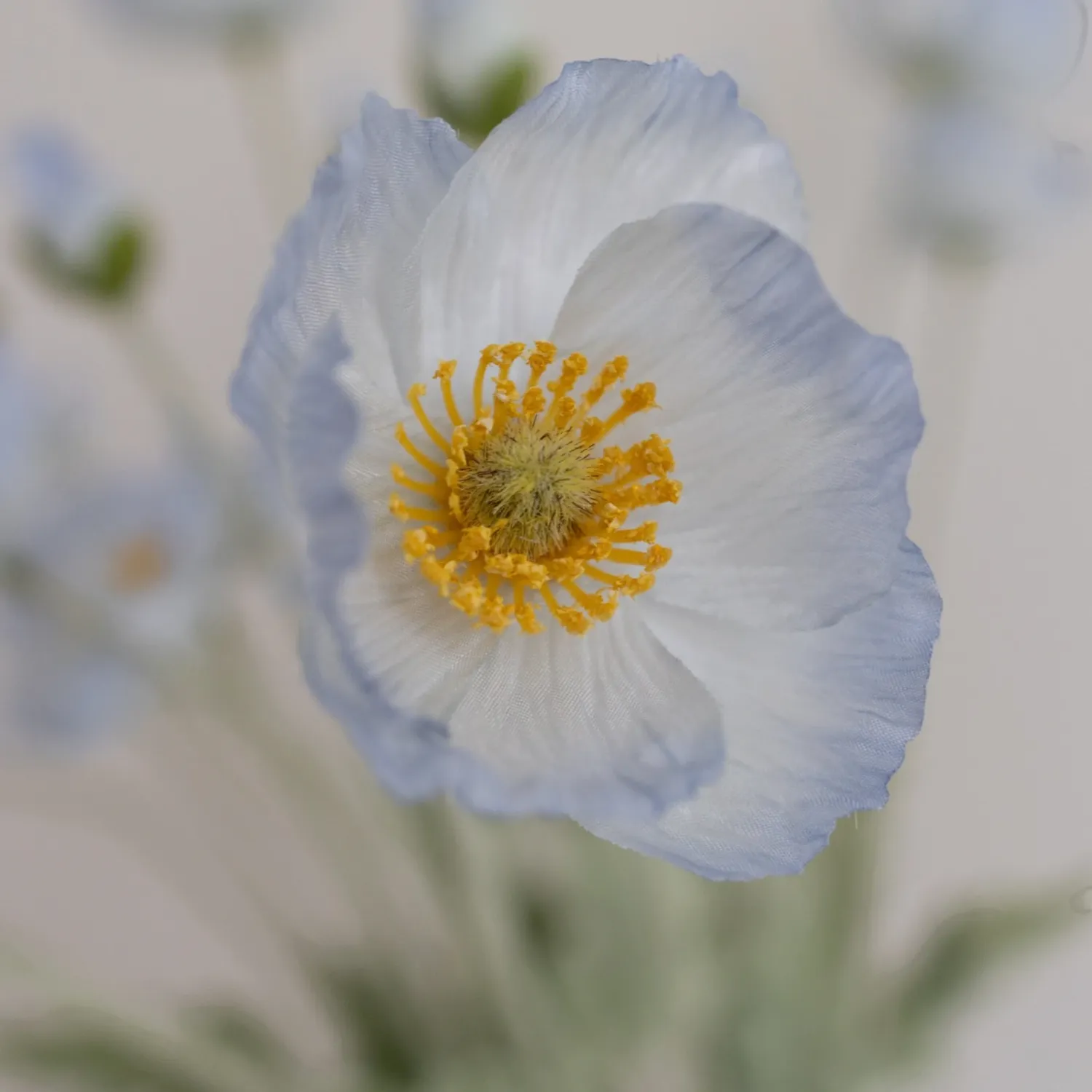 BLOOM OBJECTS - Mohn Kunstblume hellblau