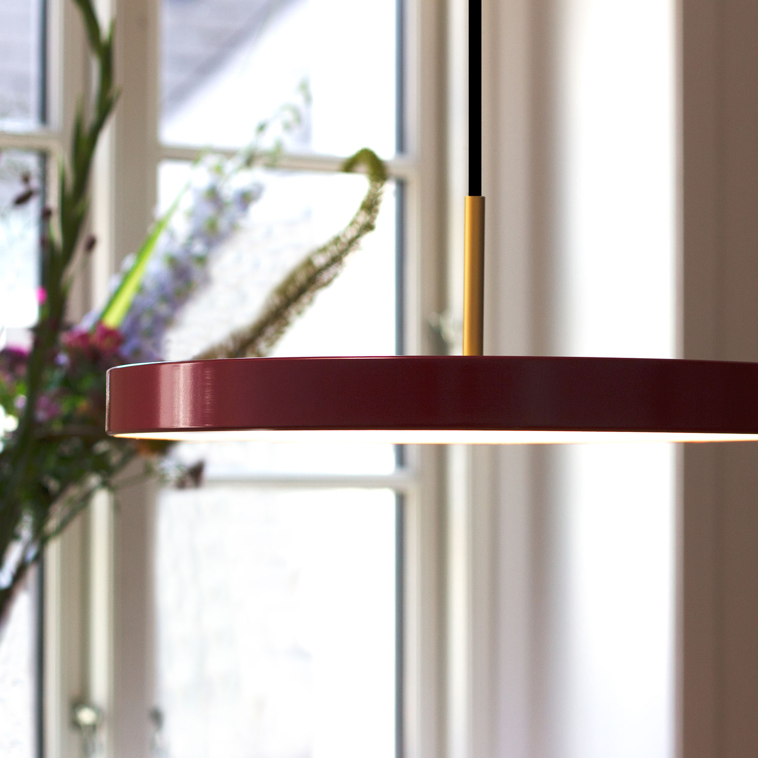 umage asteria ruby red 70604
