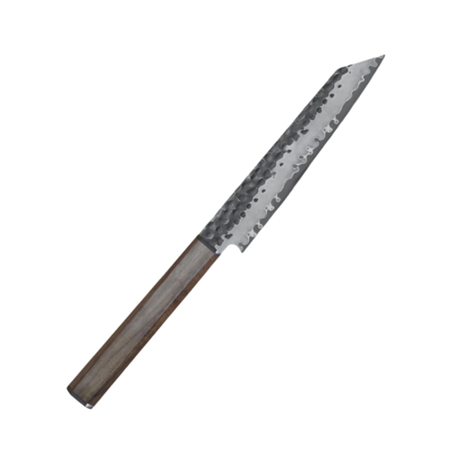 Ryoma - Kurosan Kiritsuke klein