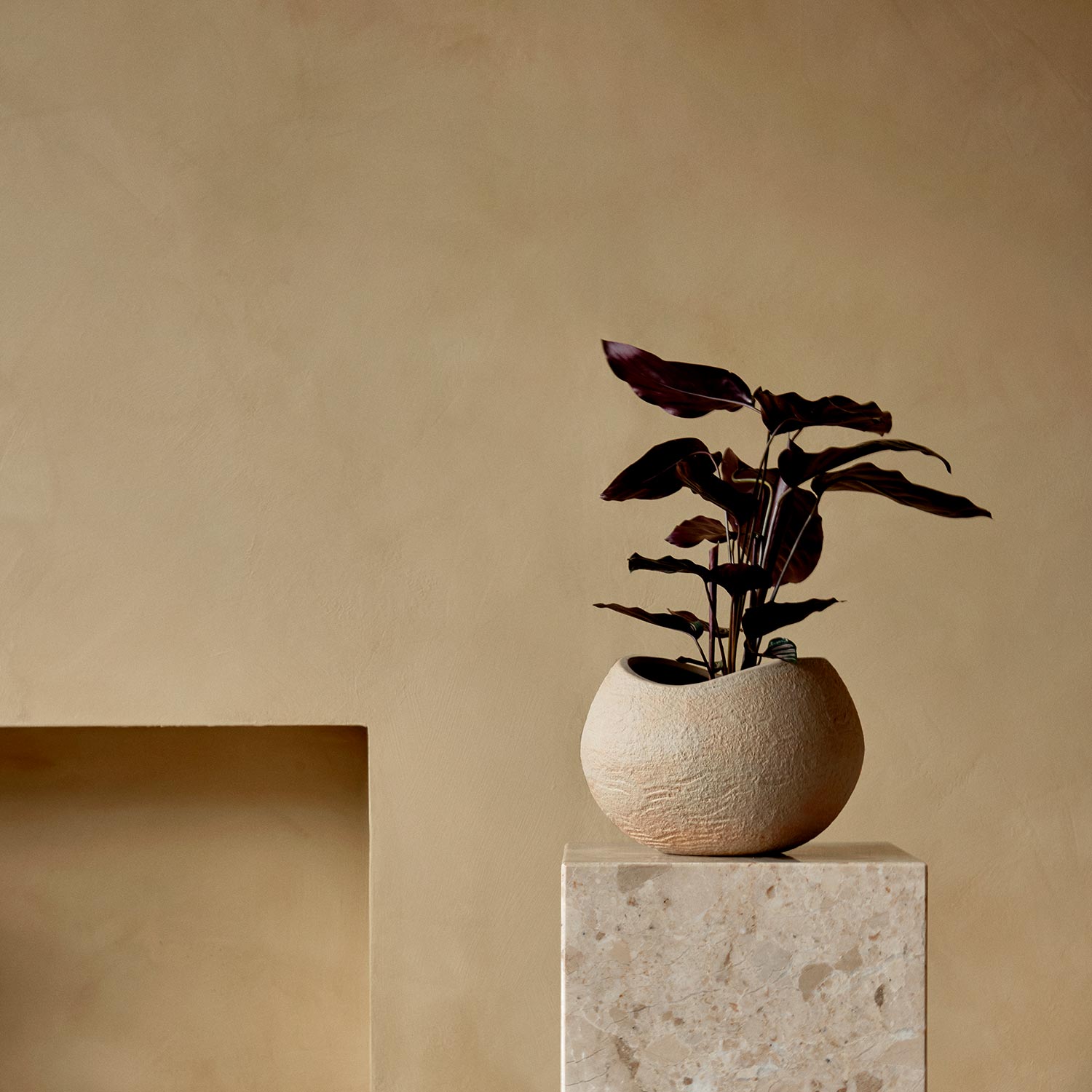 menu plantas blumentop h32 wohnzimmer podest 93320