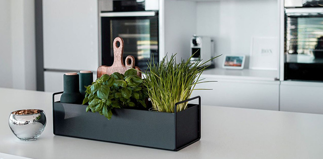 Ferm Living Plantbox Mini schwarz mit Kräutern in der Küche