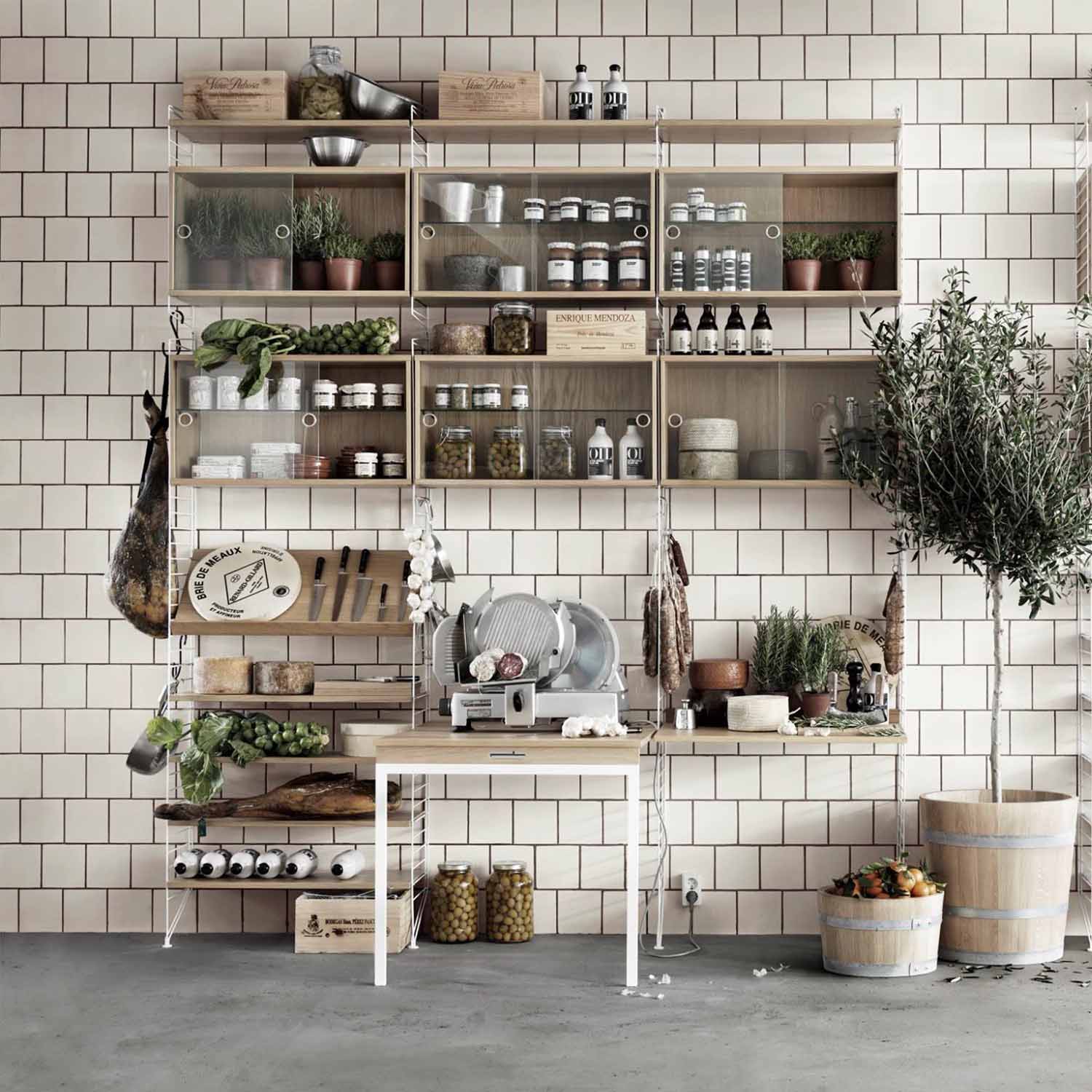String Ambiente Bild pflanzen