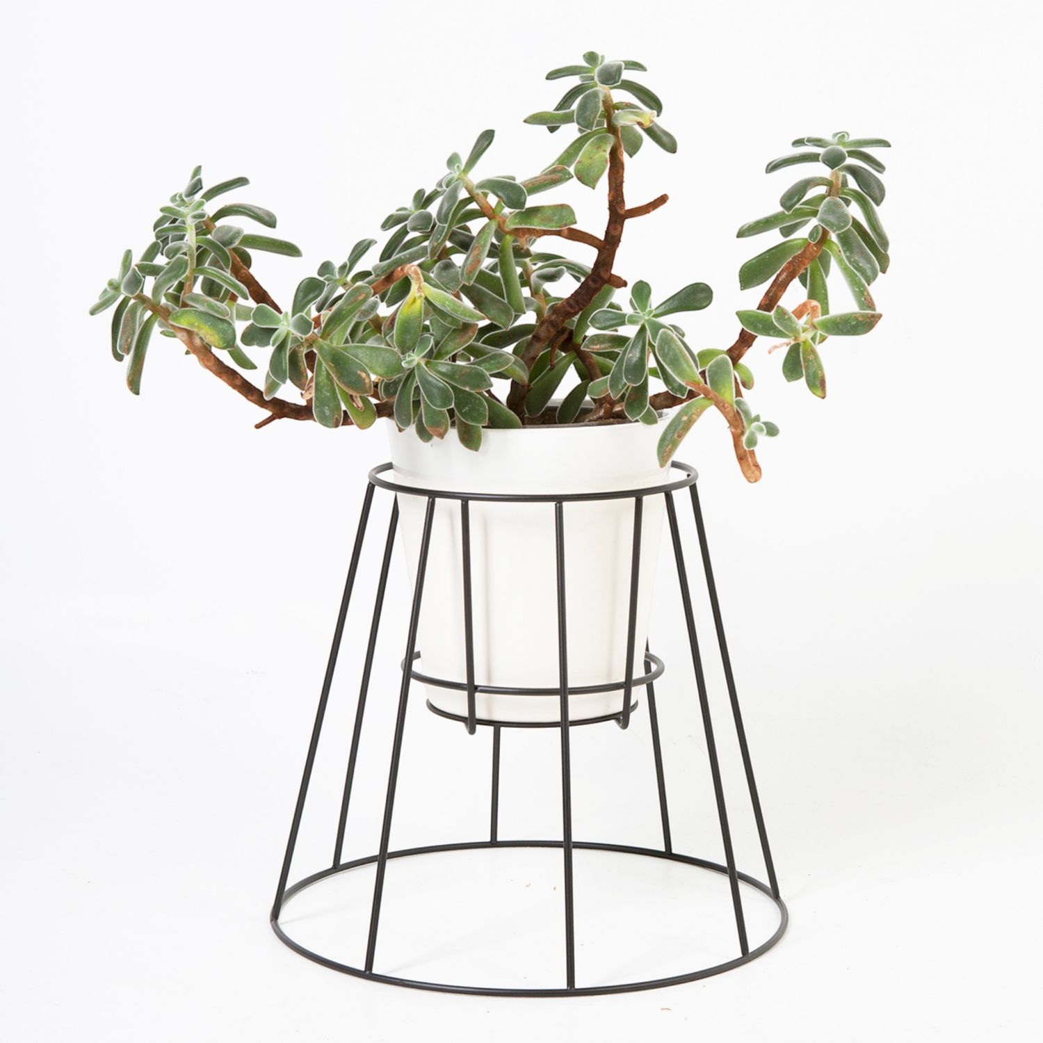 OK Design - Cibele Plant Stand Blumenständer small schwarz