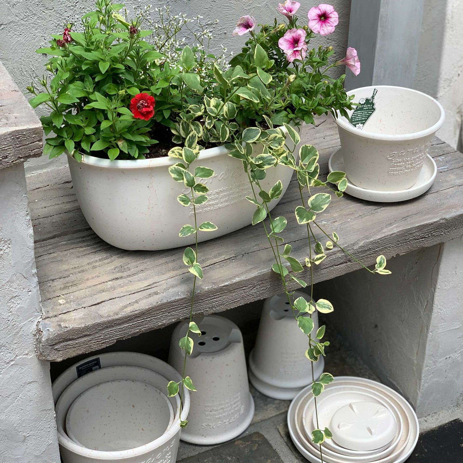 Hachiman - Eco Pot oval Blumentopf #320 5,4 l grau