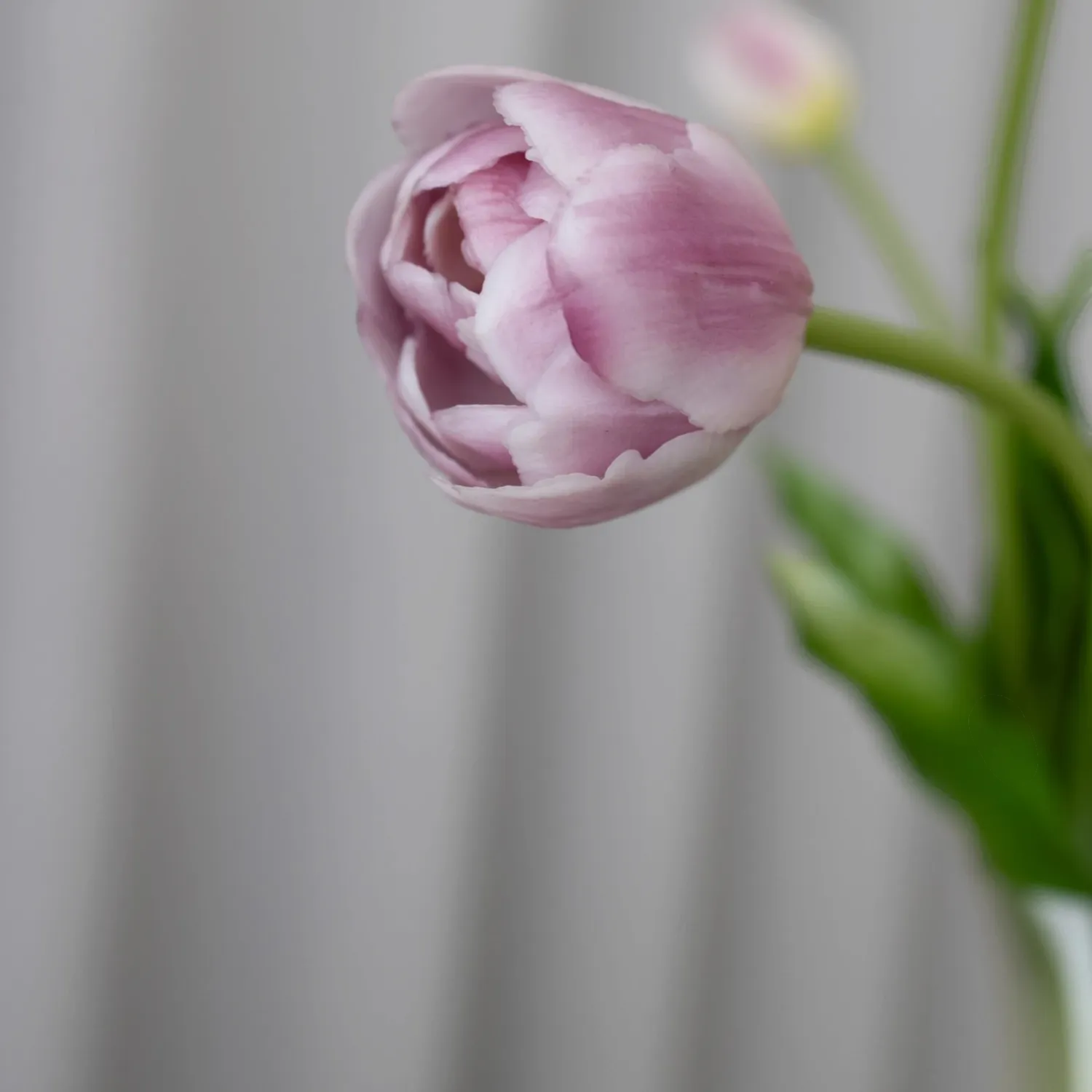 BLOOM OBJECTS - Tulpen mehrlagig Kunstblumen weiß