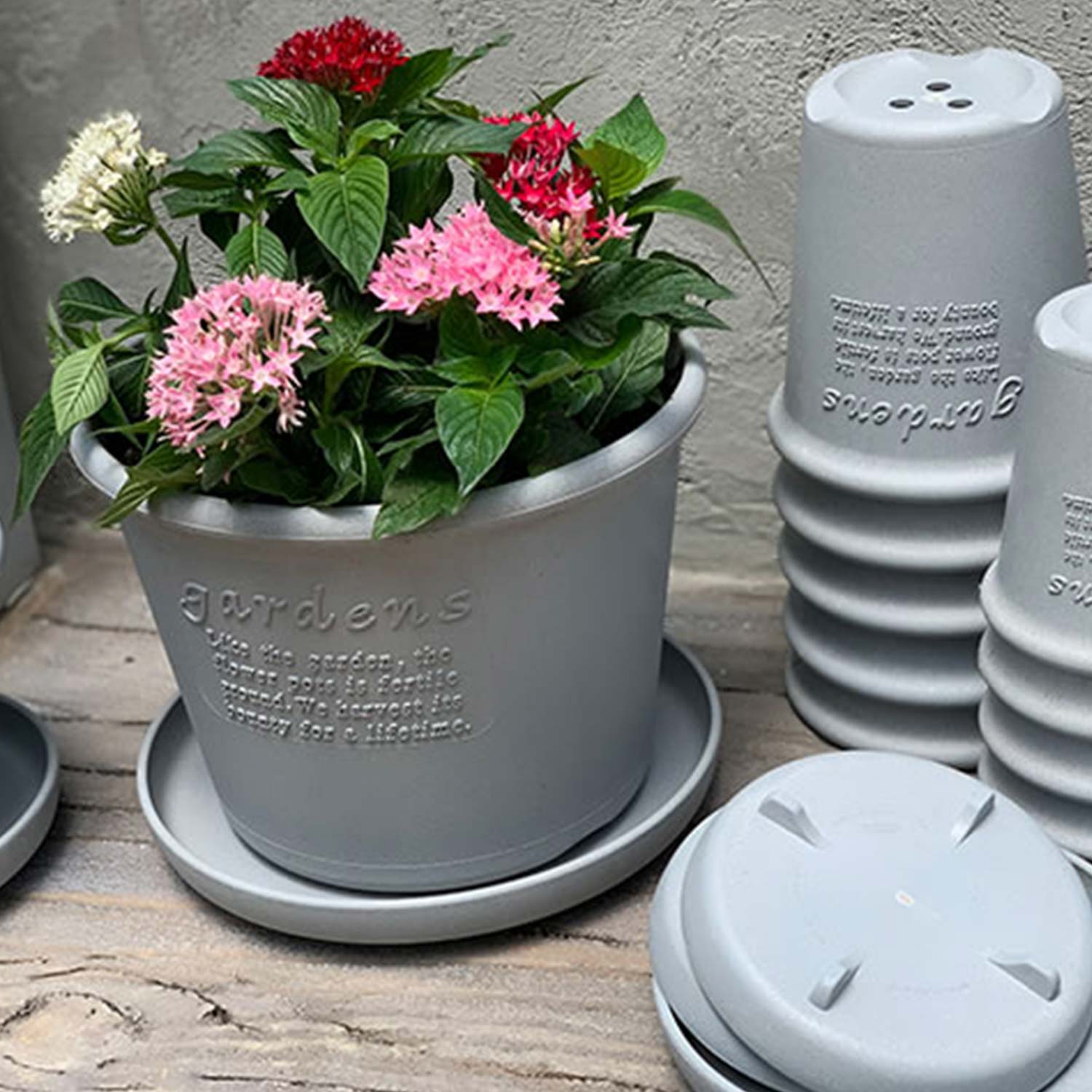 Hachiman - Eco Pot Shallow Type #8 senf