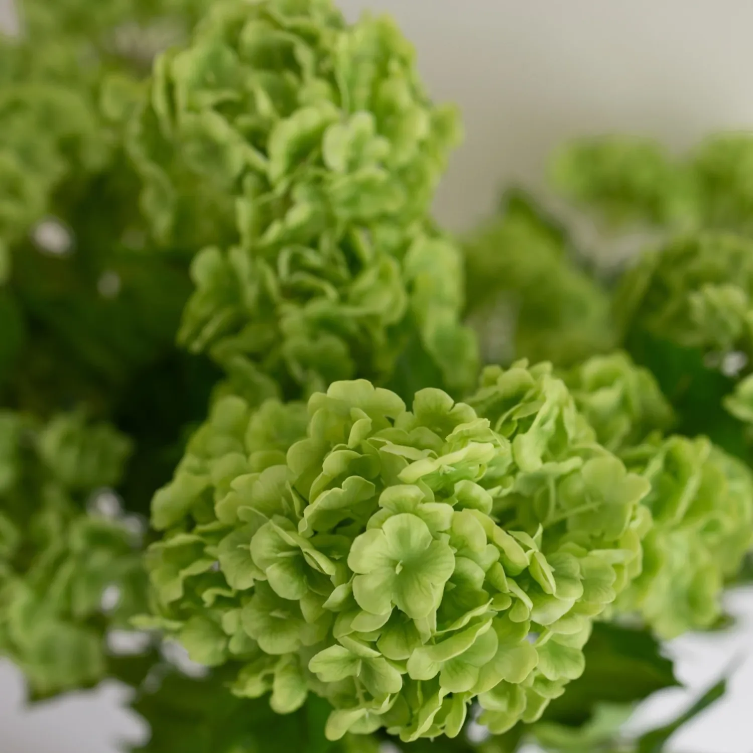 BLOOM OBJECTS - Schneeball-Hortensie Kunstblume nature green