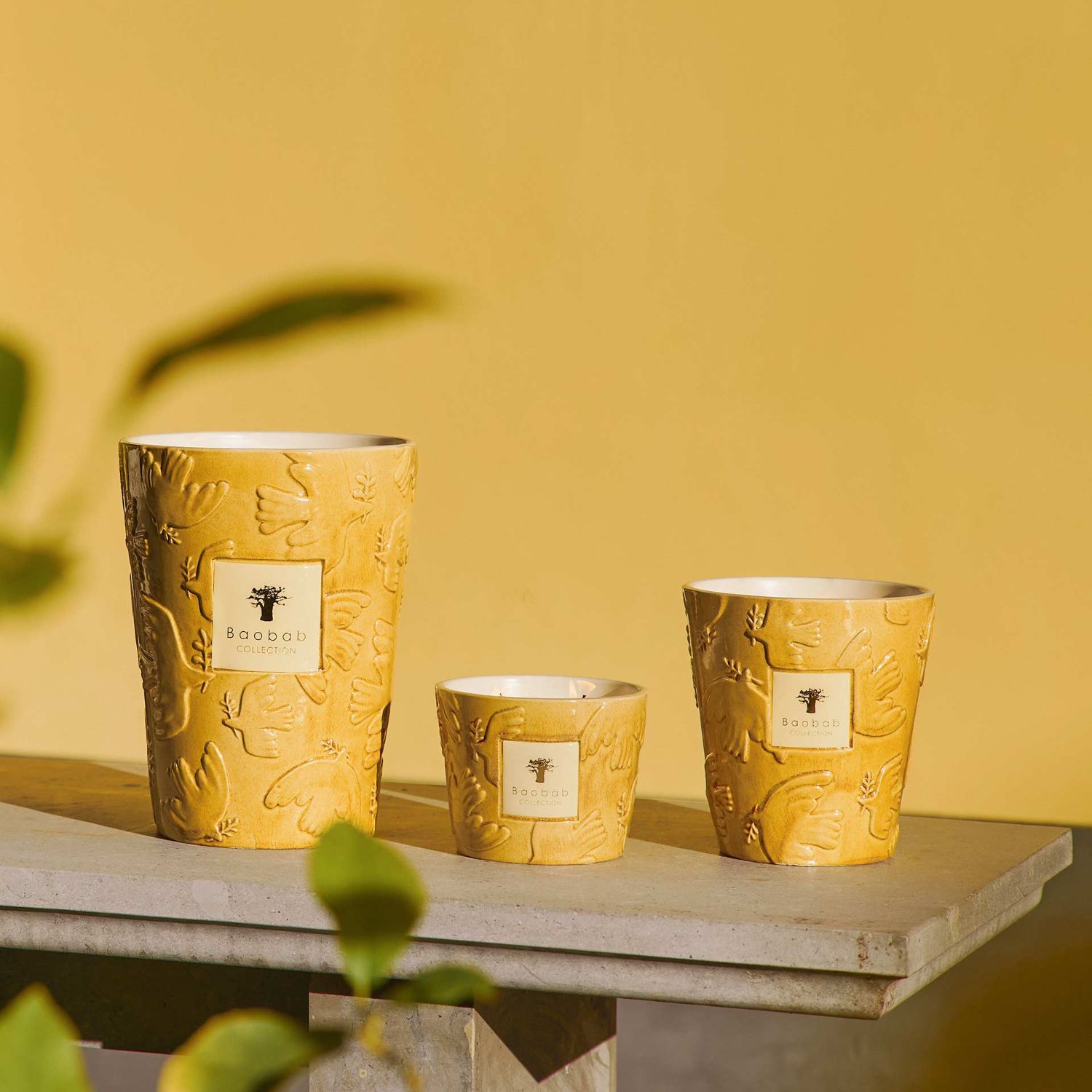 Baobab Collection - Paz Dove Duftkerze Max 16 cm
