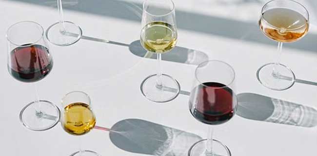 Iittala Essence Weißweingläser